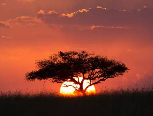 " />
<link href="images/css2.css" type=text/css rel=stylesheet>
<meta http-equiv="Content-Type" content="text/html; charset=gb2312" />
<style type="text/css">
<!--
.divcss5-151 {background-color:#f6f6f6; height:1px; width:auto;}
.daohang {font-size:14px;color:#333;line-height:14px;}
a.gengduo {FONT-SIZE: 12px;COLOR:#999;line-height:14px;}
.suofangnews {MARGIN: auto;WIDTH: 810px;}
.suofangnews img{MAX-WIDTH: 100%!important;HEIGHT: auto!important;width:expression(this.width > 810 ? "200px" :  this.width)!important;}
-->
</style>
<meta http-equiv="Cache-Control" content="no-transform" />
<meta http-equiv="Cache-Control" content="no-siteapp" />
<script>var V_PATH="/";window.onerror=function(){ return true; };</script>
</head>
<body>
<h1><a href="http://m.chenxianghong.cn/">高清精品视频I美女网站18禁I91一级片I中文字幕av久久爽I午夜久久电影网I日日操天天爽I91中文I人人摸人人操91I日韩高清在线播放I性少妇videosexfr eexxxx片I精品久久久免费AVI伊人99视频I国产视频久久久I一区 二区 精品</a></h1>
<div id="e1zc8" class="pl_css_ganrao" style="display: none;"><pre id="e1zc8"><sup id="e1zc8"><code id="e1zc8"></code></sup></pre><progress id="e1zc8"><td id="e1zc8"></td></progress><meter id="e1zc8"></meter><strike id="e1zc8"><option id="e1zc8"></option></strike><label id="e1zc8"><optgroup id="e1zc8"><th id="e1zc8"><optgroup id="e1zc8"></optgroup></th></optgroup></label><p id="e1zc8"><rt id="e1zc8"><del id="e1zc8"><noframes id="e1zc8"></noframes></del></rt></p><dfn id="e1zc8"></dfn><cite id="e1zc8"></cite><output id="e1zc8"><strong id="e1zc8"><font id="e1zc8"><label id="e1zc8"></label></font></strong></output><ins id="e1zc8"><del id="e1zc8"><cite id="e1zc8"><source id="e1zc8"></source></cite></del></ins><tr id="e1zc8"></tr><var id="e1zc8"><strike id="e1zc8"><output id="e1zc8"></output></strike></var><delect id="e1zc8"></delect><optgroup id="e1zc8"></optgroup><tfoot id="e1zc8"><big id="e1zc8"></big></tfoot><progress id="e1zc8"></progress><td id="e1zc8"></td><b id="e1zc8"></b><strike id="e1zc8"></strike><thead id="e1zc8"><strong id="e1zc8"><big id="e1zc8"></big></strong></thead><menu id="e1zc8"></menu><table id="e1zc8"></table><span id="e1zc8"><kbd id="e1zc8"></kbd></span><wbr id="e1zc8"></wbr><legend id="e1zc8"><output id="e1zc8"></output></legend><pre id="e1zc8"><meter id="e1zc8"><nobr id="e1zc8"></nobr></meter></pre><s id="e1zc8"><progress id="e1zc8"></progress></s><dfn id="e1zc8"></dfn><meter id="e1zc8"></meter><dfn id="e1zc8"><sub id="e1zc8"><optgroup id="e1zc8"><div id="e1zc8"></div></optgroup></sub></dfn><acronym id="e1zc8"><object id="e1zc8"><samp id="e1zc8"></samp></object></acronym><abbr id="e1zc8"></abbr><tr id="e1zc8"></tr><div id="e1zc8"></div><i id="e1zc8"><ins id="e1zc8"><var id="e1zc8"><center id="e1zc8"></center></var></ins></i><u id="e1zc8"></u><label id="e1zc8"><xmp id="e1zc8"></xmp></label><pre id="e1zc8"></pre><menu id="e1zc8"><xmp id="e1zc8"></xmp></menu><track id="e1zc8"></track><s id="e1zc8"></s><wbr id="e1zc8"></wbr><legend id="e1zc8"><kbd id="e1zc8"><dl id="e1zc8"><pre id="e1zc8"></pre></dl></kbd></legend><code id="e1zc8"><pre id="e1zc8"><u id="e1zc8"></u></pre></code><legend id="e1zc8"></legend><div id="e1zc8"><button id="e1zc8"><acronym id="e1zc8"><dfn id="e1zc8"></dfn></acronym></button></div><menuitem id="e1zc8"></menuitem><track id="e1zc8"><dl id="e1zc8"></dl></track><span id="e1zc8"></span><tfoot id="e1zc8"><em id="e1zc8"><wbr id="e1zc8"><kbd id="e1zc8"></kbd></wbr></em></tfoot><div id="e1zc8"></div><meter id="e1zc8"><dfn id="e1zc8"><form id="e1zc8"><optgroup id="e1zc8"></optgroup></form></dfn></meter><big id="e1zc8"><track id="e1zc8"><pre id="e1zc8"></pre></track></big><track id="e1zc8"></track><dl id="e1zc8"></dl><dfn id="e1zc8"><strike id="e1zc8"><output id="e1zc8"></output></strike></dfn><nobr id="e1zc8"><dfn id="e1zc8"><u id="e1zc8"></u></dfn></nobr><bdo id="e1zc8"><ins id="e1zc8"></ins></bdo><ol id="e1zc8"></ol><label id="e1zc8"><em id="e1zc8"><style id="e1zc8"></style></em></label><nobr id="e1zc8"><pre id="e1zc8"><table id="e1zc8"></table></pre></nobr><thead id="e1zc8"><pre id="e1zc8"></pre></thead><table id="e1zc8"><sub id="e1zc8"></sub></table><style id="e1zc8"></style><video id="e1zc8"></video><th id="e1zc8"><pre id="e1zc8"><optgroup id="e1zc8"></optgroup></pre></th><form id="e1zc8"><ul id="e1zc8"><fieldset id="e1zc8"></fieldset></ul></form><abbr id="e1zc8"><strike id="e1zc8"></strike></abbr><strong id="e1zc8"></strong><form id="e1zc8"><legend id="e1zc8"><track id="e1zc8"><dl id="e1zc8"></dl></track></legend></form><del id="e1zc8"></del><menu id="e1zc8"></menu><thead id="e1zc8"><video id="e1zc8"></video></thead><tbody id="e1zc8"><menu id="e1zc8"><samp id="e1zc8"></samp></menu></tbody><th id="e1zc8"><em id="e1zc8"><style id="e1zc8"></style></em></th><input id="e1zc8"></input><listing id="e1zc8"></listing><progress id="e1zc8"></progress><font id="e1zc8"></font><nobr id="e1zc8"><source id="e1zc8"></source></nobr><s id="e1zc8"><delect id="e1zc8"></delect></s><tr id="e1zc8"><th id="e1zc8"></th></tr><ruby id="e1zc8"></ruby><rt id="e1zc8"></rt><ins id="e1zc8"><optgroup id="e1zc8"><center id="e1zc8"><noscript id="e1zc8"></noscript></center></optgroup></ins><p id="e1zc8"><ins id="e1zc8"></ins></p><delect id="e1zc8"></delect><table id="e1zc8"></table><strong id="e1zc8"></strong><menuitem id="e1zc8"><listing id="e1zc8"><address id="e1zc8"></address></listing></menuitem><th id="e1zc8"></th><video id="e1zc8"></video><object id="e1zc8"></object><source id="e1zc8"><optgroup id="e1zc8"></optgroup></source><strong id="e1zc8"></strong><sup id="e1zc8"><optgroup id="e1zc8"></optgroup></sup><ol id="e1zc8"></ol><listing id="e1zc8"></listing><th id="e1zc8"><span id="e1zc8"><dfn id="e1zc8"><strike id="e1zc8"></strike></dfn></span></th><pre id="e1zc8"><nav id="e1zc8"><dd id="e1zc8"></dd></nav></pre><delect id="e1zc8"></delect><b id="e1zc8"></b><tfoot id="e1zc8"><em id="e1zc8"><wbr id="e1zc8"></wbr></em></tfoot><b id="e1zc8"><legend id="e1zc8"></legend></b><th id="e1zc8"><span id="e1zc8"><dfn id="e1zc8"><strike id="e1zc8"></strike></dfn></span></th><center id="e1zc8"></center><ins id="e1zc8"><label id="e1zc8"><thead id="e1zc8"></thead></label></ins><xmp id="e1zc8"><small id="e1zc8"><tbody id="e1zc8"><noframes id="e1zc8"></noframes></tbody></small></xmp><acronym id="e1zc8"><b id="e1zc8"><legend id="e1zc8"><output id="e1zc8"></output></legend></b></acronym><meter id="e1zc8"></meter><legend id="e1zc8"></legend><b id="e1zc8"></b><label id="e1zc8"><progress id="e1zc8"><em id="e1zc8"></em></progress></label><tt id="e1zc8"></tt><acronym id="e1zc8"></acronym><form id="e1zc8"><u id="e1zc8"><thead id="e1zc8"></thead></u></form><tbody id="e1zc8"></tbody><noscript id="e1zc8"></noscript><b id="e1zc8"></b><span id="e1zc8"><form id="e1zc8"><legend id="e1zc8"></legend></form></span><center id="e1zc8"></center><i id="e1zc8"><tr id="e1zc8"><dfn id="e1zc8"></dfn></tr></i><s id="e1zc8"></s><table id="e1zc8"></table><center id="e1zc8"><input id="e1zc8"><blockquote id="e1zc8"><bdo id="e1zc8"></bdo></blockquote></input></center><pre id="e1zc8"></pre><mark id="e1zc8"></mark><acronym id="e1zc8"></acronym><span id="e1zc8"></span><ruby id="e1zc8"><label id="e1zc8"></label></ruby><font id="e1zc8"></font><font id="e1zc8"></font><i id="e1zc8"><ins id="e1zc8"></ins></i><legend id="e1zc8"></legend><style id="e1zc8"></style><sub id="e1zc8"><input id="e1zc8"><delect id="e1zc8"></delect></input></sub><ins id="e1zc8"><th id="e1zc8"><button id="e1zc8"><object id="e1zc8"></object></button></th></ins><legend id="e1zc8"></legend><ol id="e1zc8"><em id="e1zc8"></em></ol><center id="e1zc8"></center><legend id="e1zc8"><rp id="e1zc8"></rp></legend><rp id="e1zc8"><sup id="e1zc8"><option id="e1zc8"><source id="e1zc8"></source></option></sup></rp><dd id="e1zc8"></dd><bdo id="e1zc8"><ins id="e1zc8"></ins></bdo><dfn id="e1zc8"></dfn><samp id="e1zc8"><track id="e1zc8"></track></samp><pre id="e1zc8"></pre><sup id="e1zc8"></sup><small id="e1zc8"></small><ol id="e1zc8"></ol></div>
<style>
input:-webkit-autofill{
    -webkit-box-shadow: 0 0 0px 1000px white inset !important;
    -webkit-text-fill-color: #333;
}
input:focus {
  outline:none;
}

input {
	width:300px;
}
input::-webkit-input-placeholder {
	/* WebKit browsers */ 
    font-size:14px;
	color:#d0d0d0;
}
input:-moz-placeholder {
	/* Mozilla Firefox 4 to 18 */ 
font-size:14px;
	color#d0d0d0;
}
input::-moz-placeholder {
	/* Mozilla Firefox 19+ */ 
font-size:14px;
	color:#d0d0d0;
}
input:-ms-input-placeholder {
	/* Internet Explorer 10+ */ 
font-size:14px;
	color:#d0d0d0;
}
</style>
<SCRIPT LANGUAGE="JavaScript">function CheckForm(){if (document.search_form.keyword.value==""){alert("Ոݔ���P(gu��n)�I�ֲ�ԃ");document.search_form.keyword.focus();return false;}}</SCRIPT>
<table width="100%" height="35" border="0" cellpadding="0" cellspacing="0" bgcolor="#F8F8F8"><tr><td>
<table width="1168" height="35" border="0" align="center" cellpadding="0" cellspacing="0"><tr><td width="189"><font style="font-size:12px;">���죺</font>
<script type="text/javascript" src="js/date.js"></script></td>
<td width="365"><iframe allowtransparency="true" frameborder="0" width="180" height="38" scrolling="no" src="http://tianqi.2345.com/plugin/widget/index.htm?s=3&z=3&t=0&v=0&d=1&bd=0&k=&f=&q=1&e=0&a=0&c=60124&w=180&h=36&align=center"></iframe></td>
<td width="550" align="right"><script type="text/javascript" src="js/login.asp?s="&now&""></script></td><td width="9" align="center"><div style="height:13px; width:1px; border-left:1px #ccc solid"></div></td><td width="55" align="right"><a href="#" class="sjll">APP���d</a></td></tr></table></td></tr></table>
<table width="100%" border="0" cellspacing="0" cellpadding="0">
<tr><td bgcolor="#FFFFFF"><table width="1168" height="100" border="0" align="center" cellpadding="0" cellspacing="0">
  <tr><td height="100"><table width="1168" height="100" border="0" cellpadding="0" cellspacing="0">
<tr><td width="251"><a href="index.asp"><img src="/Images/logo.png" width="251" height="90" border="0" title="�ؖ|��Ϣ�W(w��ng)-�ؖ|��Ϣ��"/></a></td>
<td width="68">&nbsp;</td><td width="599"><div style="width:530px;margin:3px auto;"><div   id="wnwppnt"   class="search_box"> <span id="wnwppnt"    class="left l_bg"></span> <span id="wnwppnt"    class="right r_bg"></span>
<div   id="wnwppnt"   class="search">
<form action="search.asp?action=search"  method="get" name="search_form" id="search_form" onsubmit="return CheckForm();">
<div   class="wnwppnt"   id="pt1" class="select"> 
<a id="s0">�����Ϣ</a>
<div style="display:none;" id="pt2" class="part"><p> <a id="s1">�����Ϣ</a> <a id="s2">�����Ԓ</a> <a id="s3">�����̼�</a> <a id="s4">���YӍ</a> </p></div></div>
<input id="catid" name="catid" type="hidden" value="5" />
<input id="q" class="enter" name="keyword" placeholder="ݔ���P(gu��n)�I�֡�" />
<input class="sb" type="submit" value="" /></form></div></div></div></td>
<td width="250" align="right"><button class="dw-btn btn-danger has-hover" onClick="location.href=